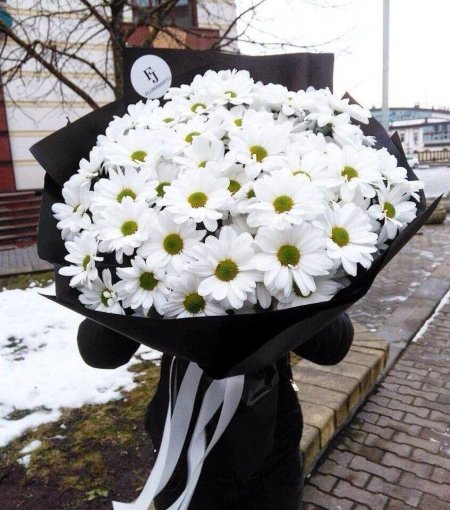 Ромашковидная хризантема белая