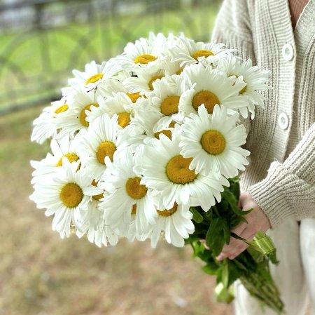 Букет из ромашек