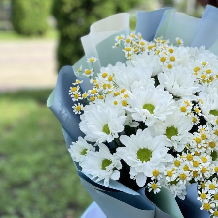 Букет из ромашковидной хризантемы