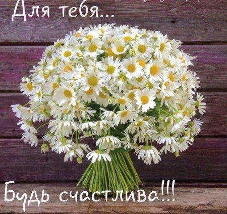 Красивые букеты из ромашек