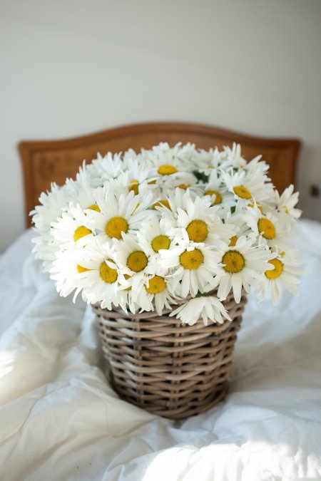 Корзина с ромашками