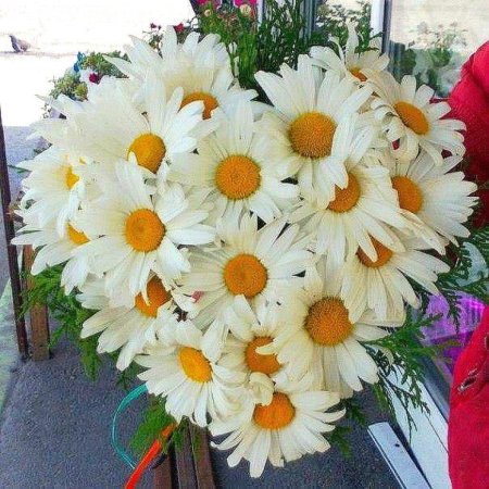 Букет из ромашек