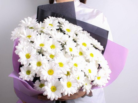 Хризантема кустовая ромашковая