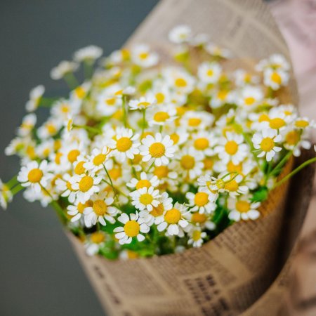 Букет из кустовых ромашек