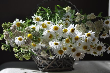 Букет ромашка