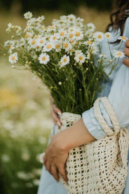 Фотосессия с ромашками на природе