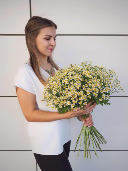 Букет ромашек