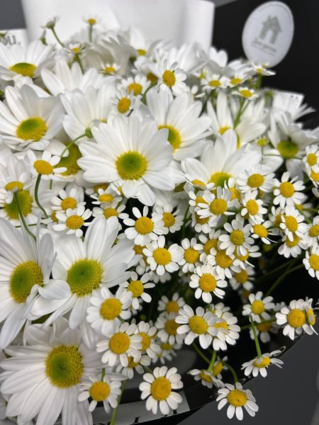 Букет из ромашек