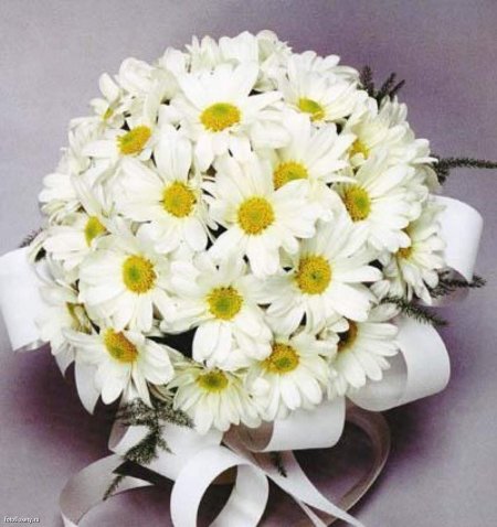 Букет ромашек