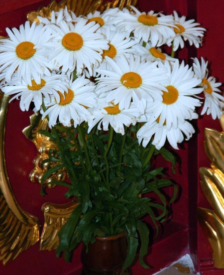 Букет ромашек