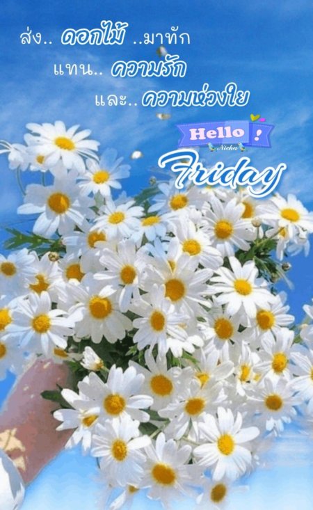 С ромашками