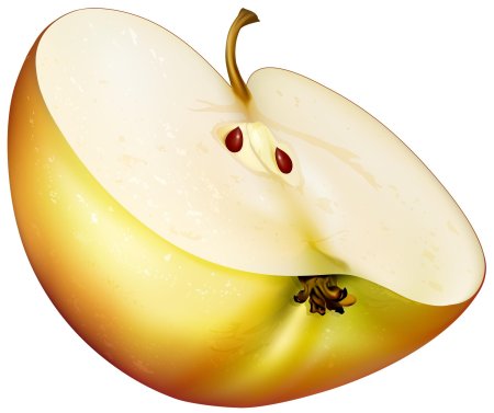 Яблоко половинка