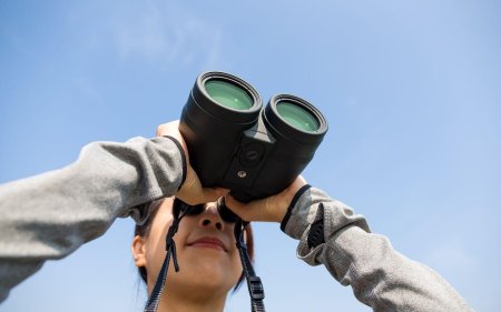 Девушка смотрит в бинокль