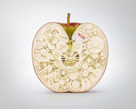 Яблоко в разрезе