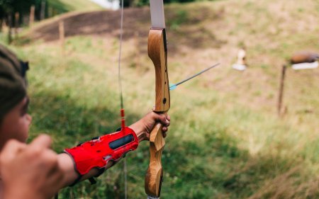 Лук стрельба