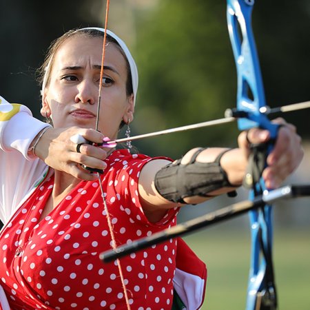 Стрельба из лука