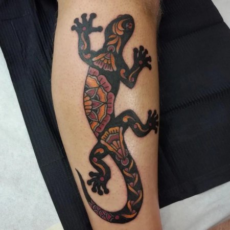 Ящерица саламандра полинезия