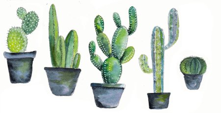 Опунция кактус