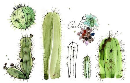 Кактус акварелью