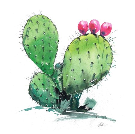 Кактусы скетч акварелью