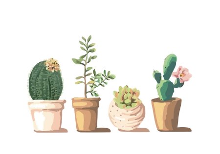 Кактус опунция суккулент