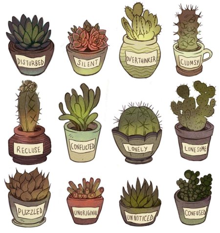 Суккулент растение