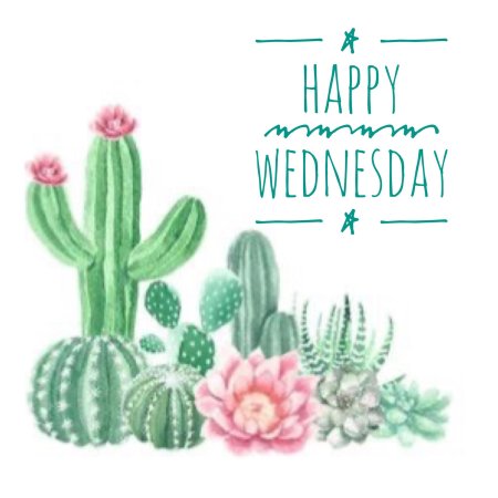 Мэри шепард акварели кактусы