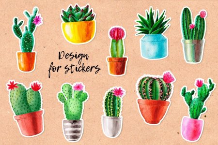 Милые кактусы