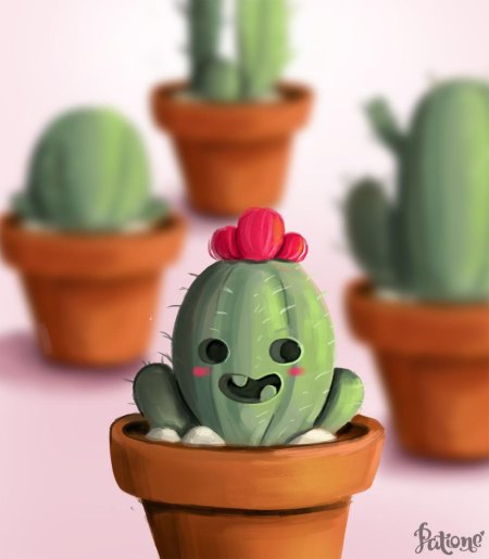 Кактус арт