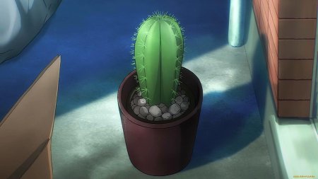 Кактус аниме