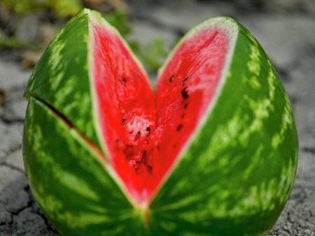 Арбуз целый