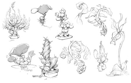 Наброски растений