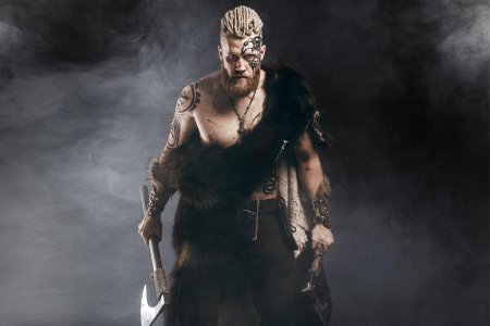 Викинг: берсеркеры фильм 2014