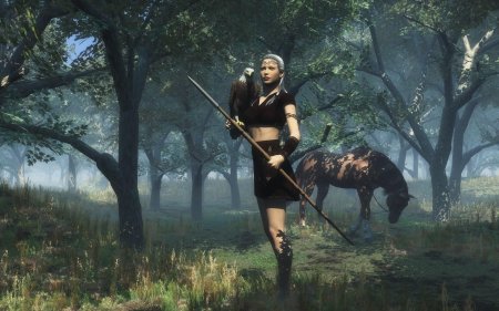 Амазонка с копьем