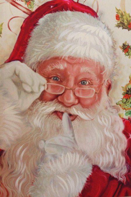 Портрет деда мороза
