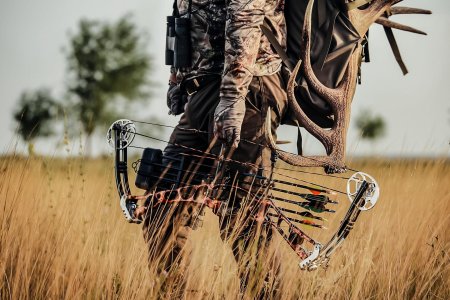 Блочный лук для охоты