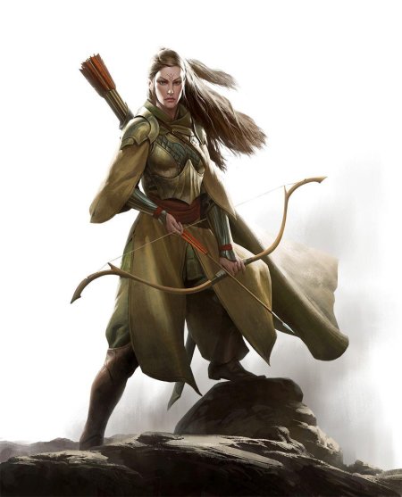 Книги про эльфов