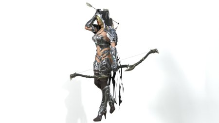 Женщины воины