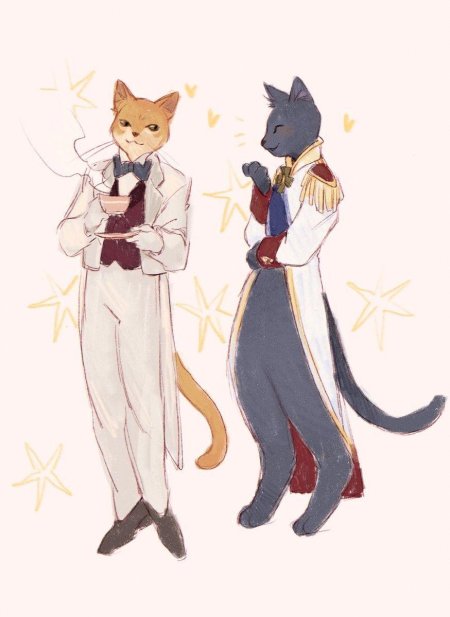 Принц лун возвращение кота