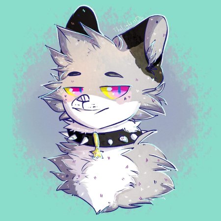 Коты воители арт амино