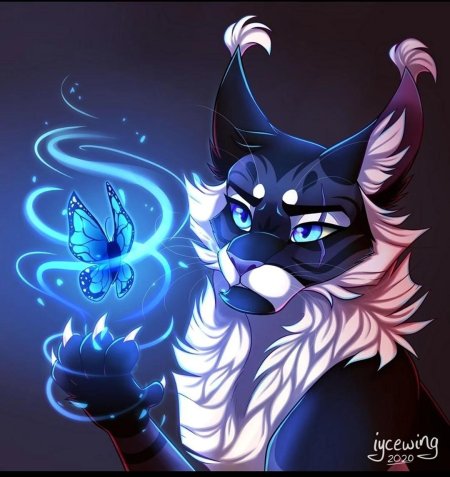 Коты воители красивые арты