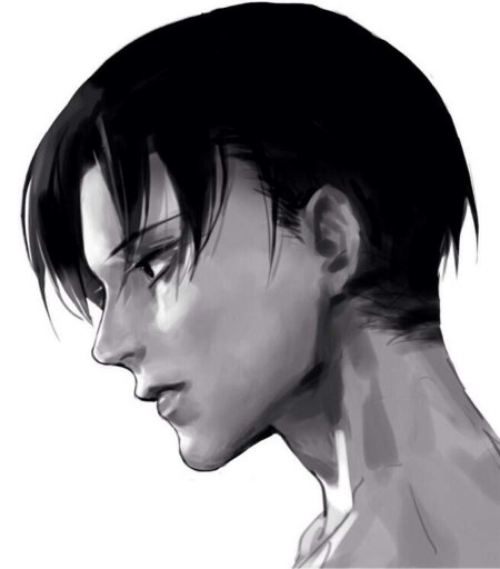 Леви аккерман прическа