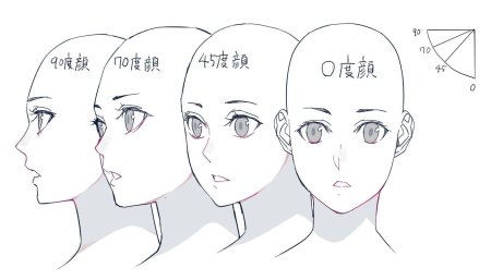 Референс головы в разных ракурсах аниме