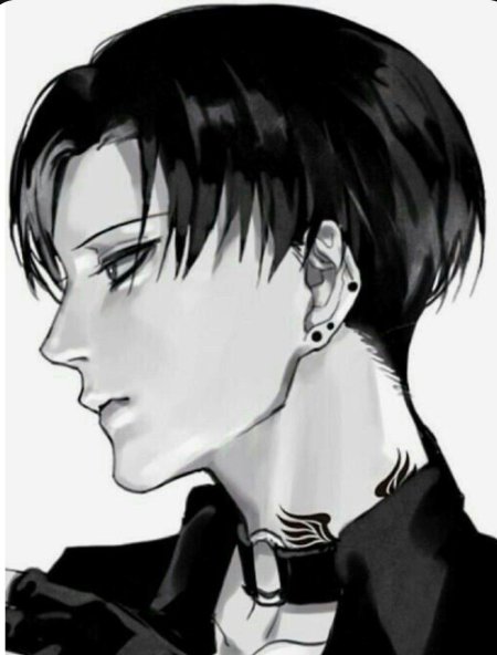 Леви аккерман прическа