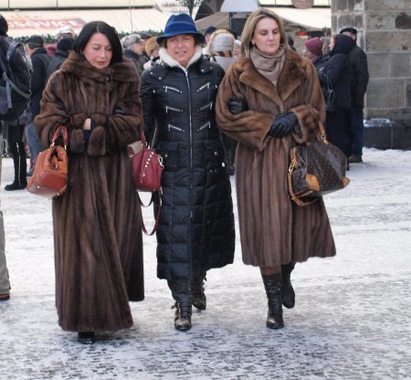 Дама в шубе