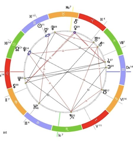 Дома натальная карта