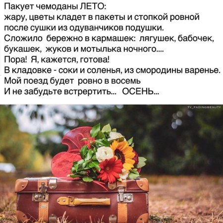 Пакует чемоданы лето