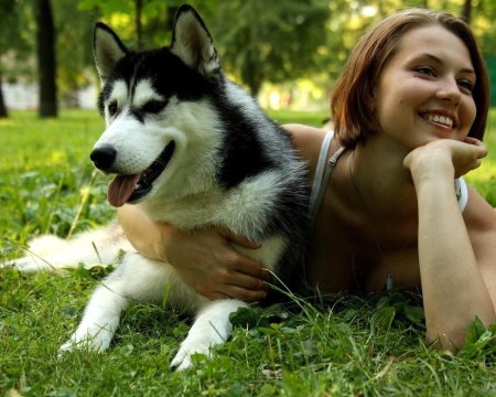 Сибирский хаски