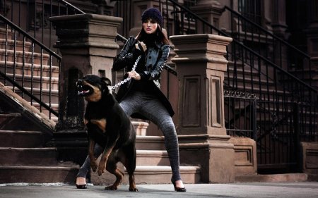Ирина шейк фотосессия с доберманом
