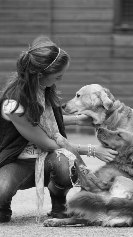 Собака и человек дружба